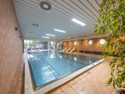 Oldtimer-Traktoren-Club-Leiblachtal (10)